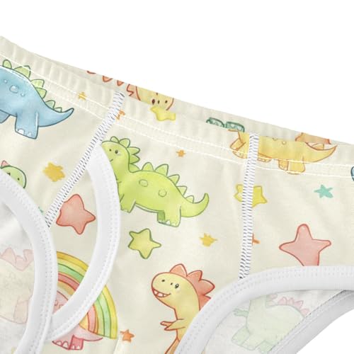 Wusikd Colorful Dinosaurs Boys' Underwear Cotton Rainbow Stars Boys Briefs Soft Toddler Underwear 2T4