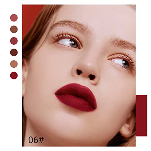 Image of evpct 6Pcs Dark Light Nude Brown Matte Matt Liquid Lipstick Lip Gloss Glossy Set for Black Women, 24 Hour Brown Mauve Red Maroon Silky Velvet Lipstick Lip Liner set labiales matte larga duracion 24