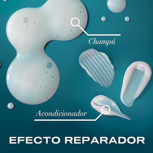 OGX Set Renewing + Argan Oil of Morocco Shampoo y Conditioner, set de champú y acondicionador con Aceite de argán, pack reparador para el cabello seco y dañado, tensioactivos sin sulfatos, 2x385 ml - imagen 6