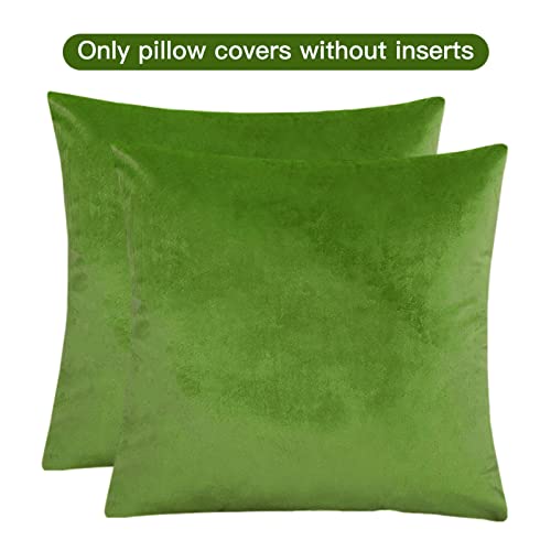 Pack Of 2 Velvet Decorative Throw Pillow Covers 18X18 Inches Soft Solid Square Green Pillow Covers For Couch Sofa Living Room Home Decor 45 X 45 Cm #TOP6