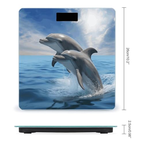 Báscula Digital para Baño con Capacidad 400 lb y Pantalla LCD miniatura 2
