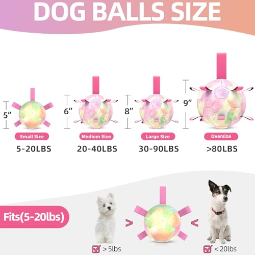 QDAN Dog Toys Soccer Ball with Straps, Durable Dog Balls for Tug of War, Puppy Birthday Gifts, Dogs Water Toy Small Dogs-Rainbow(5 Inch)