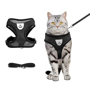 shudyear Summer cat Chest Harness and Leash, Anti-Escape Adjustable Soft mesh cat Leash and Chest Harness Set for All Types of Cats cat Vests (Size M,Black)