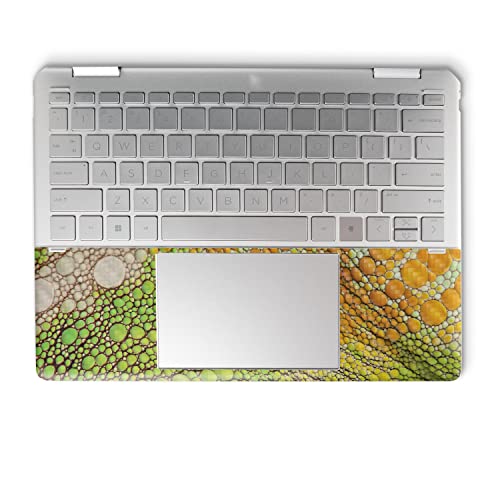 Image of MightySkins Carbon Fiber Skin Compatible with HP Spectre x360 14 inch (2022) Full Wrap Kit - Iguana Skin | Protective, Durable Textured Carbon Fiber Finish | Easy to Apply | Made in The USA