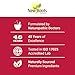 NEW ROOTS HERBAL Heme Iron Supplement | 4-in-1 Formula with Vitamin C, B12, Folate for Best Absorption | Raise Hemoglobin & Ferritin for Women & Men, Low-FODMAP (30 Capsules)