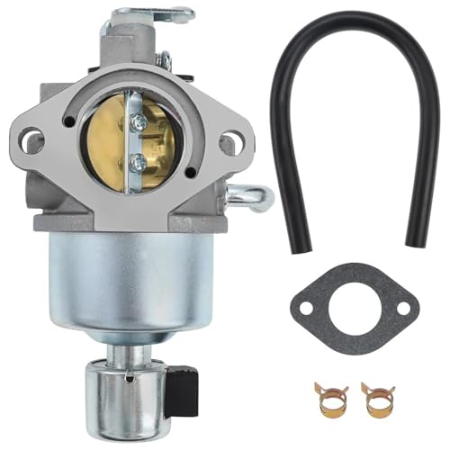 Carburateur pour BS 594605 et 792768 motoculteur tondeuse
