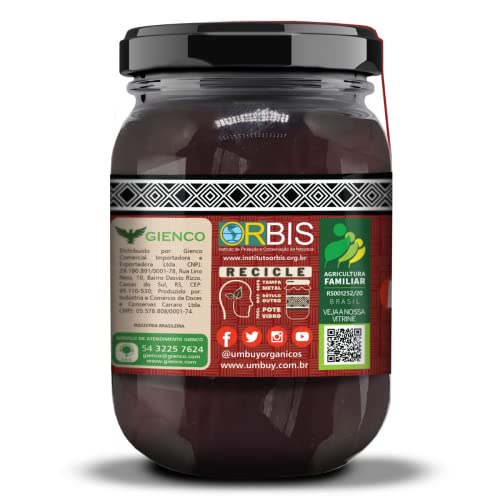 Geleia Orgânica Artesanal de Morango Em Pedaços Umbuy Orgânicos 300G