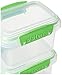 Sistema Fresh Collection Food Storage Container, 13.5 oz./0.4 L, Clear/Lime Green, 3 Count
