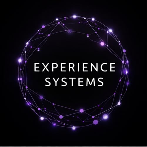 Experience Systems cover art