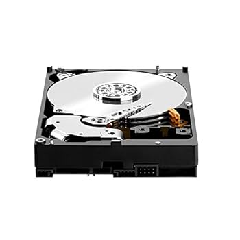 Amazon.com: WD 6TB 3.5