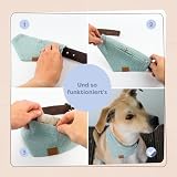 Löwenkind Dogs 100% natürliches Beruhigungsmittel für Hunde | Für innere Ruhe in Stress-Situationen zur Entspannung | Allein Sein, Tierarztbesuche, Gewitter, Feuerwerk (6 Kräuterpads, Balance-Pads)