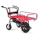 Elektrische Schubkarre 200kg Motorschubkarre Li-Ion Akku 18,5V Schubkarre Elektro Dumper 55963 AWZ