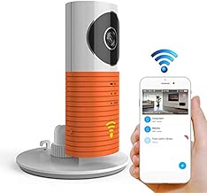Automatically Intelligent Wireless Snapshot Surveillance