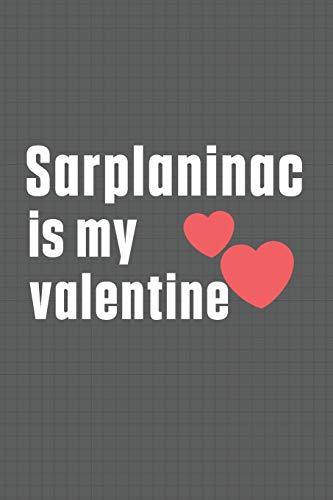Sarplaninac