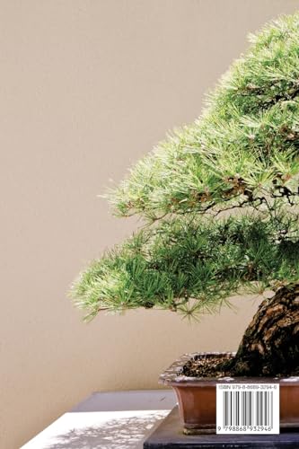 Bonsai for Beginners: Care Guide Success with your first Bonsai Tree