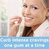 Leader Nicotine Gum 2 mg Stop Smoking Aid, Cool Mint, 100 Count, Sugar Free