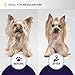 Hydra Professional Experience , Shampoo, Conditioner, and Sprays, Dog and Cat Grooming Supplies, 6-Bottle Set