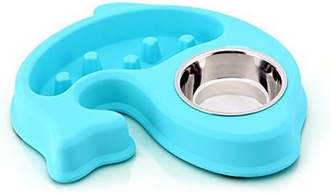 SHAOLIN Slow Feed Dog Bowl with Stainless Steel Dog Water Bowl Slow Eating Bowl for Dog Cat and Pet (Blue)