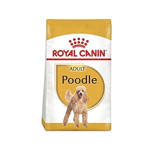 Royal Canin Poodle Adult Breed Specific Dry Dog Food, 10 lb bag