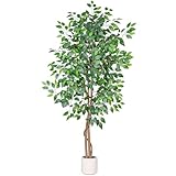 VIVATREES 6FT Artificial Ficus Tree with White Planter, Realistic Faux Silk Indoor Outdoor Plant for Home Office Living Room, Porch, Garden Decor