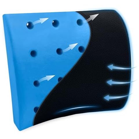 SAMSONITE Gel-Infused Lumbar Support Pillow Cover