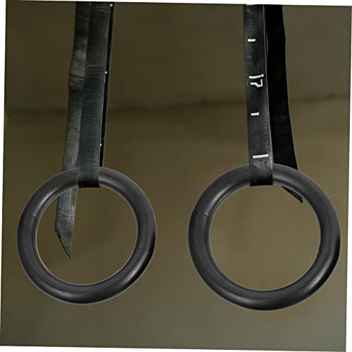 2 Anillas Fitness para Gimnasio en Casa Entrenamiento miniatura 6