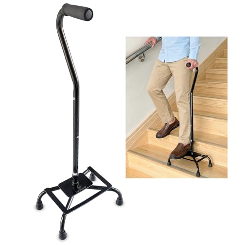 Stair Assist Cane with Platform for Seniors