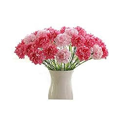 Pink 5 +Light Pink 5