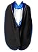 GraduationForYou PHD Hood VelvetTrim Satin Lining And Chevron +Gold Piping