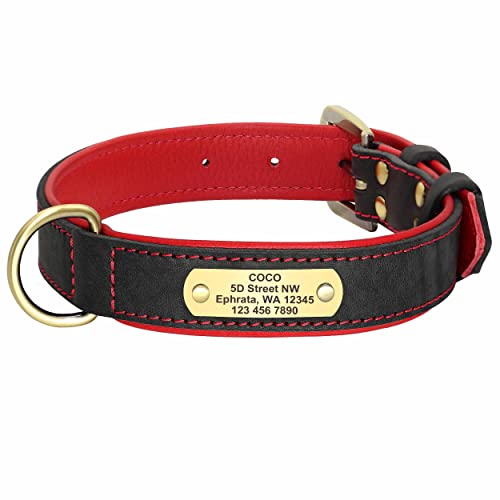 mypfote.com Exklusives Leder Hundehalsband mit großer Gravurplatte und gratis Gravur von Name und Telefon, für mittlere und große Hunde Braun/L 43-55cm