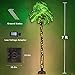 Lighted Palm Trees, 7FT 187 LED Artificial Palm Tree with 5 Coconuts, Light Up Tropical Palm Trees for Indoor, Outdoor, Garden, Patio, Christmas Party, Pool, Beach Decor