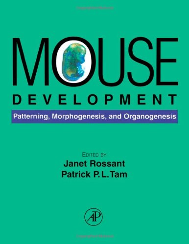 Mouse Development: Patterning, Morphogenesis, and Organogenesis