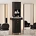 TTGIEET Beauty Salon Station, Hair Salon Station w/Glass Shelf & Golden Handles, Stylist Station for Salon w/6 Hair Dryer Holders, 2 Storage Cabinet & Drawers(Black)