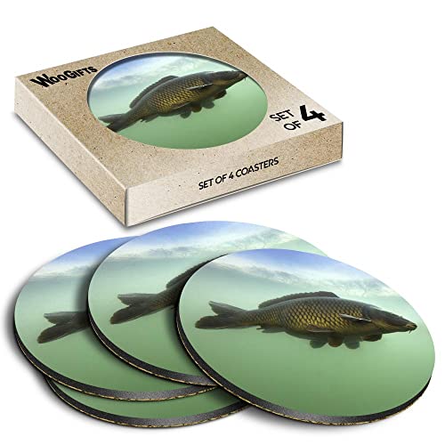 Image of 4 x Round Coasters - Common Carp Fish River Fishing Cork Backed MDF Glossy Tea Coffee Accessory #50589
