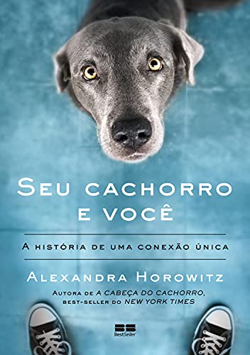 Seu cachorro e você: A história de uma conexão única