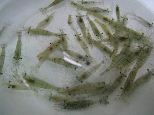 GTp XWGr 30CZbgyazGT ނaAHEJ̃GTɁyN[ցz⏞L聦n