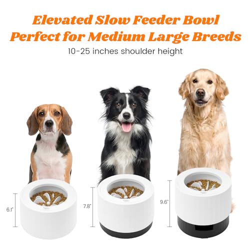 Pawque-Raised-Dog-Food-Water-Bowls