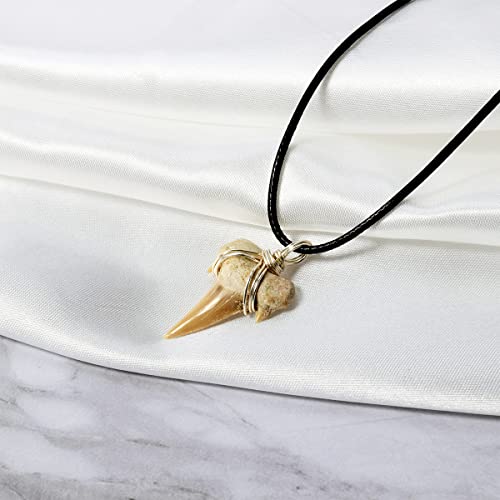 Shark Tooth Necklace For Boys, Genuine Fossil Shark Teeth Jewelry Surfer Necklace, Leather Cord Shark Necklace For Boys, Shark Teeth Necklace, Cool Beach Necklaces For Men #TOP5