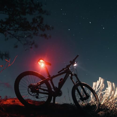 ANSMANN Luz Trasera para Bicicleta homologada por StVZO con fiable CREE LED, protección IPX5, Funciona con batería de hasta 4 Horas de duración de la luz, Recargable a través de USB - imagen 8