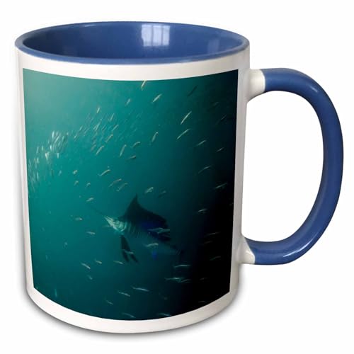 3dRose Sailfish Feeding on Sardines Sardine Run 15oz Two-Tone Blue Mug