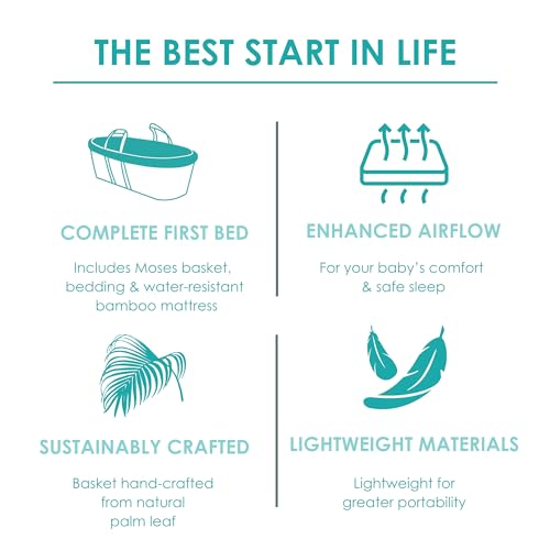 Variante de Clair de Lune moises para bebe Crema Natural 75×28 cm