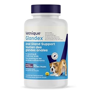 Glandex Dog Anal Gland Fiber Supplement Powder with Pumpkin & Digestive Enzymes – Vet Recommended Healthy Bowels & Digestion – Boot The Scoot (Pork Liver, 155g)