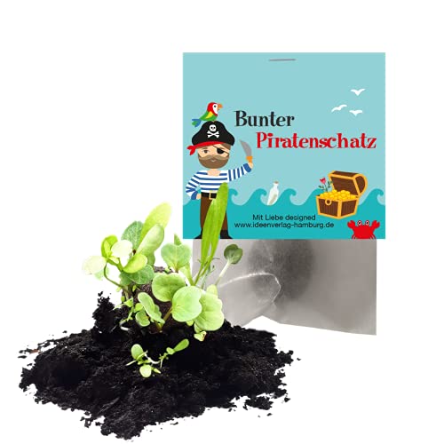 Ideenverlag HAMBURG 10x Piraten Samenbomben Kindergeburtstag Piraten Mitgebsel Piratengeburtstag Geschenke Saatbomben Kinder Kleinigkeiten