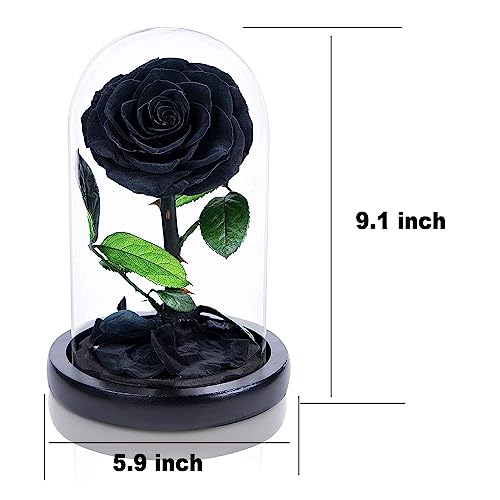 ZHHR Eterno Fiore Piccolo Principe Scatola Regalo