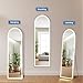 DUMOS Arched Full Length Mirror with Light-15.7×59.8