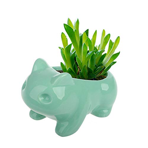 Decoración Exterior, Kitchen Imagen adicional