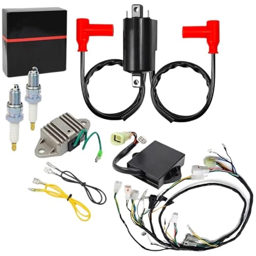 Bobine d'allumage pour YFZ350 kit faisceau bougie aux normes origine