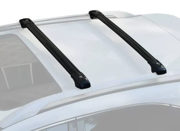 Aazon.co: FTAPACCE 2PCS Crossbar Cross Bars Fits For Haval H6 GT 2020...