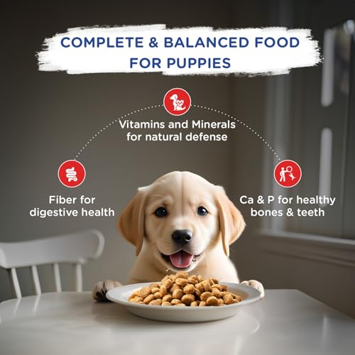 Image of Chappi Puppy Dry Dog Food, Chicken & Milk, 7 kg, Complete and Balanced Food for Puppies (Pack of 2)
