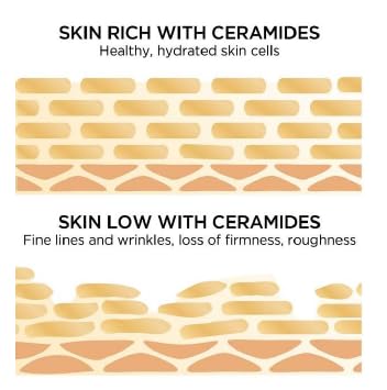 FEEL MATRIGEN Ceramide 100 Ampoule – Barrier Repair & Moisture Locking Serum for Sensitive Skin – 30mL + Needleless Syringe - Image 7